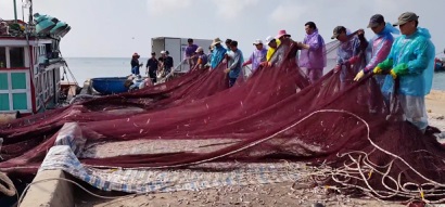 Quảng Ngãi Nỗi lo “chảy máu” nguồn nguyên liệu thủy sản