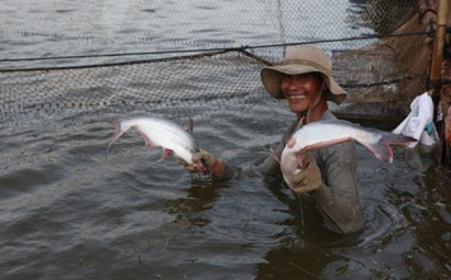 Navico Lãi ròng quý 12018 tăng 3 lần lên 76 tỷ đồng