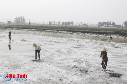 Nuôi tôm công nghệ cao Mỗi héc-ta cho ra... 1 tỷ!