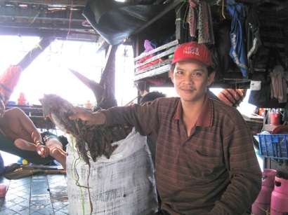 Ngư dân Bình Định trúng đậm mực xà