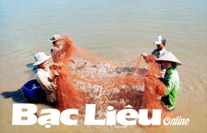 Tăng trưởng kinh tế 2018 Đột phá từ con tôm