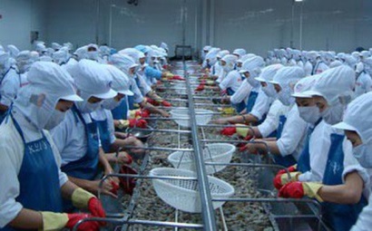 Minh Phú Lãi quý 12018 đạt hơn 101 tỷ đồng, tăng 138% so với cùng kỳ