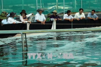 Kiên Giang ứng dụng công nghệ cao trong nuôi trồng thủy sản