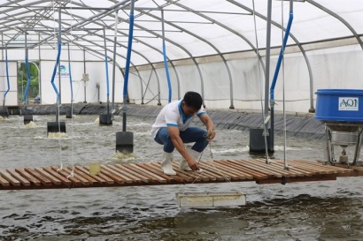 Năng lượng tái tạo giảm chi phí nuôi trồng thủy sản