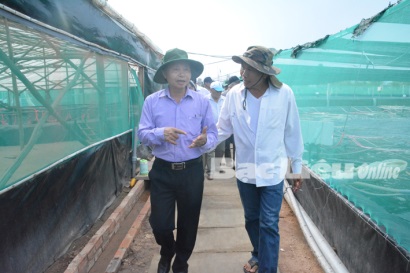 Bạc Liêu Đoàn cán bộ Trung tâm Khuyến nông Quốc gia tham quan mô hình nuôi tôm siêu thâm canh