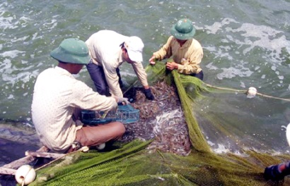 Ninh Thuận Tập huấn phổ biến lịch thời vụ nuôi trồng thủy sản năm 2018 và kỹ thuật nuôi tôm sú, tôm thẻ chân trắng