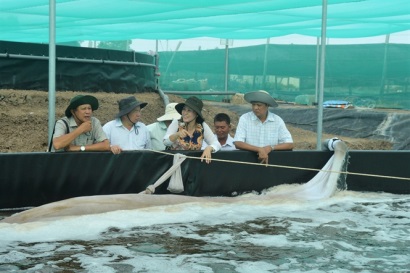 Xây dựng thủy sản thành ngành sản xuất hàng hóa lớn