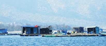 Nâng cao hiệu quả nghề nuôi thủy hải sản ở Ninh Thuận