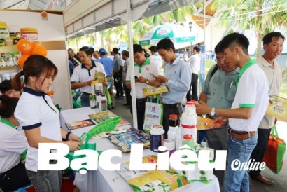 Nuôi tôm ứng dụng công nghệ cao Cần tăng cường đầu tư hạ tầng