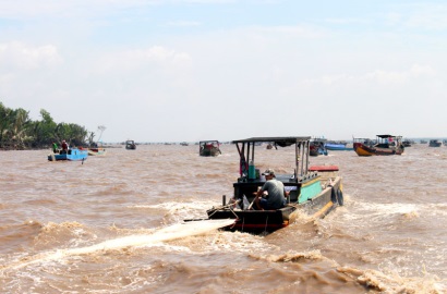 Bến Tre Khai thác sò huyết giống trên bãi biển Thừa Đức