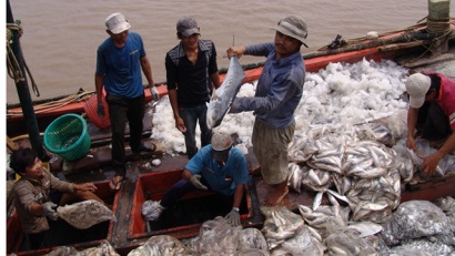 Bạc Liêu 6 tháng, khai thác hơn 60.000 tấn thủy sản