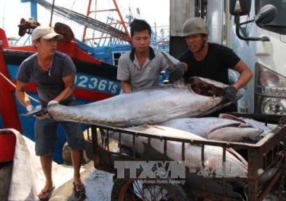 Cơ hội và thách thức của ngành khai thác hải sản - Bài 2 Tận dụng cơ hội mới