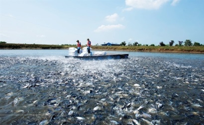 Top 50 2018 Công ty Cổ phần Vĩnh Hoàn