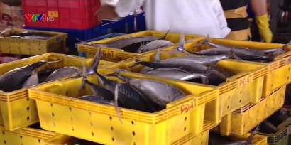 Giải pháp nào để đáp ứng yêu cầu khắc phục thẻ vàng của EC