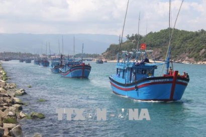 Sản lượng khai thác và nuôi trồng thủy sản tại Bình Định tăng cao