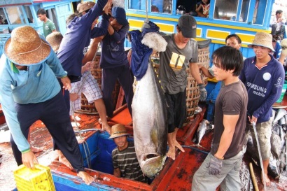 EC gia hạn thêm 6 tháng Thủy sản Việt có gỡ được “thẻ vàng” năm 2019