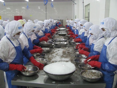 Đạt mục tiêu XK thuỷ sản bằng nỗ lực toàn ngành