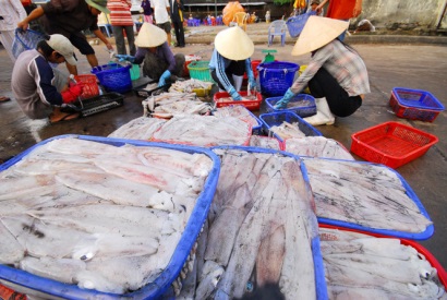 Kẻ tội đồ’ kéo dài thẻ vàng của EU với hải sản Việt Nam