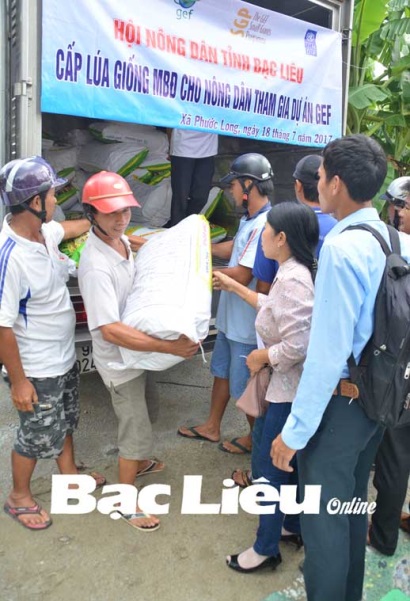 Tôm - lúa Mô hình sản xuất hiệu quả, bền vững