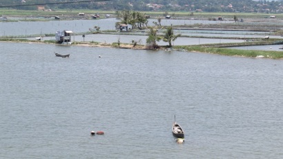 Nuôi tôm không còn ô nhiễm