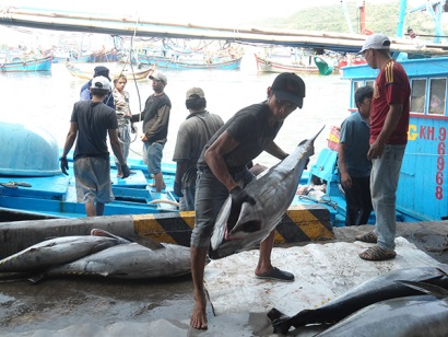 Khánh Hòa chung sức lấy lại “thẻ xanh”