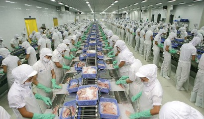 Doanh nghiệp thủy sản dự báo lãi lớn