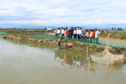 Tập huấn nuôi thủy sản mặn lợ