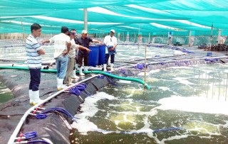 Bến Tre Trao đổi kinh nghiệm nuôi tôm công nghệ cao