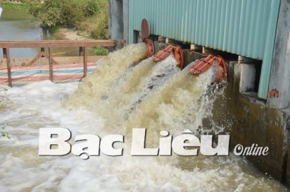 Cần thường xuyên theo dõi, chăm sóc lúa, tôm nuôi trong mùa mưa