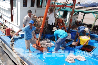 Bạc Liêu Thành lập gần 50 tổ khai thác hải sản