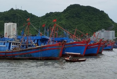 Gỡ thẻ vàng cho thủy sản, còn trên nóng dưới lạnh