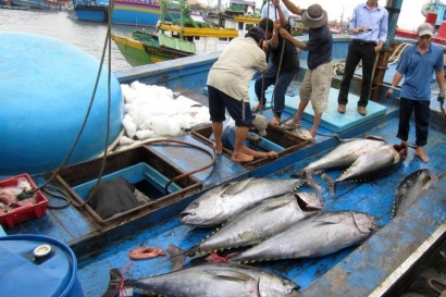 Ghi nhật ký khai thác thủy sản Dễ mà khó