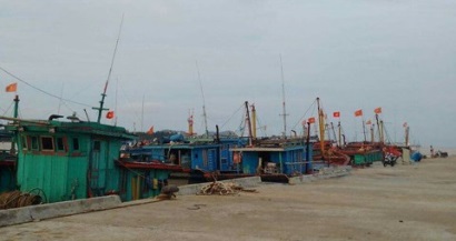 Hà Tĩnh Khai thác thủy sản 6 tháng đầu năm đạt gần 19.989 tấn