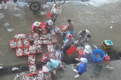 Đà Nẵng tăng cường tuyên truyền chống khai thác hải sản bất hợp pháp