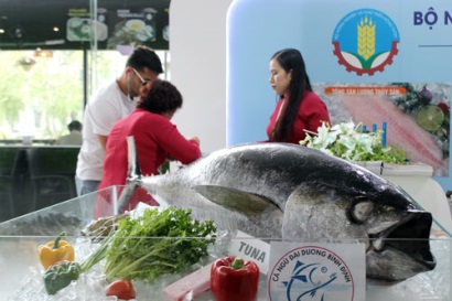 Bề bộn cuộc chiến chống IUU