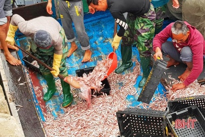 Hà Tĩnh đạt sản lượng thủy hải sản gần 30.000 tấn, trị giá hơn 1.500 tỷ đồng