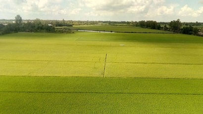 An Giang tăng tốc phát triển kinh tế