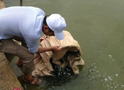 Nuôi trồng thủy sản theo chuỗi Xu thế tất yếu