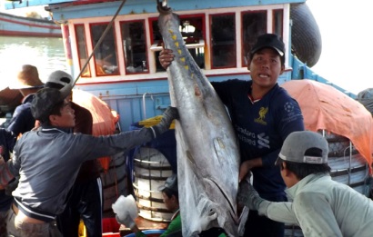 Nỗ lực thoát khỏi thẻ vàng cho thủy sản Việt