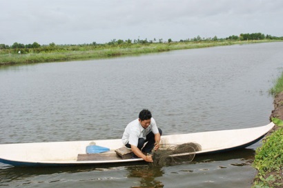 Cà Mau Chuyển dần diện tích nuôi tôm quảng canh sang nuôi tôm quảng canh cải tiến