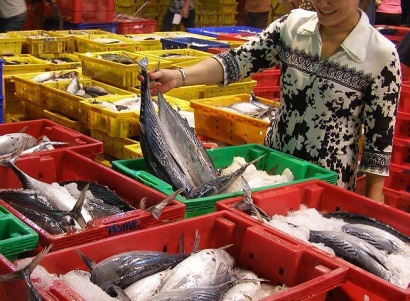 Cá, tôm, mực... Việt Nam dính ‘đòn đau’ vì thẻ vàng EU