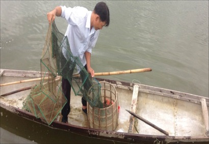 Thí điểm mô hình thủy sản an toàn