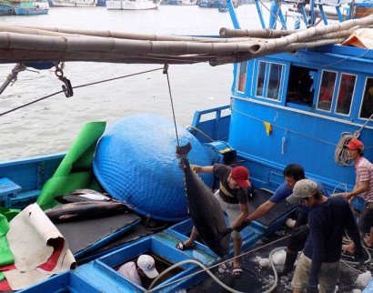 Nan giải xác nhận nguyên liệu khai thác thủy sản