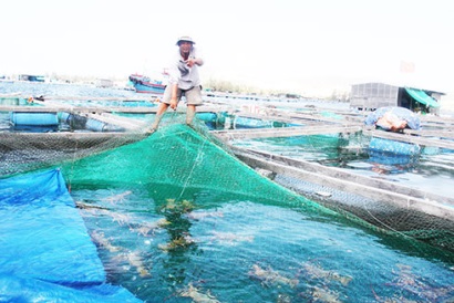 Cam Ranh (Khánh Hòa) Tuyên truyền quy hoạch nuôi trồng thủy sản