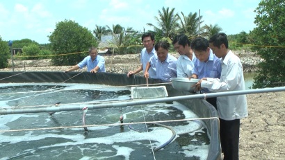 Tổng kết mô hình kỹ thuật ương tôm giống theo công nghệ Biofloc