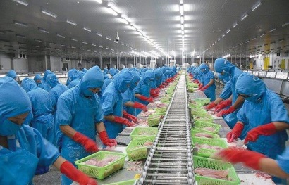 Vinh Hoan Corp Kim ngạch xuất khẩu tăng mạnh