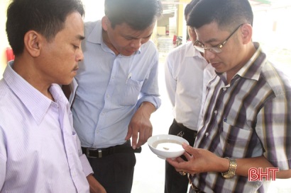 Nhập tôm bố mẹ từ Singapore, người nuôi Hà Tĩnh quyết giành thắng lợi lớn