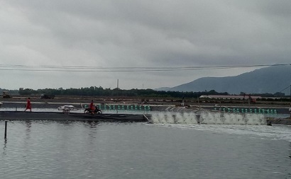 Huyện Nga Sơn (Thanh Hóa) Sản lượng khai thác và nuôi trồng thủy sản đạt 4.588 tấn