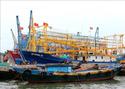 Quảng Trị khai thác gắn với bảo vệ nguồn lợi hải sản