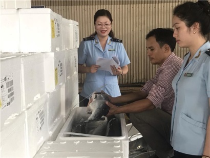 Thông tư 112019TT-BNNPTNT Sửa đổi, bổ sung 1 số điều của Thông tư 362018TT-BNNPTNT ngày 25122018